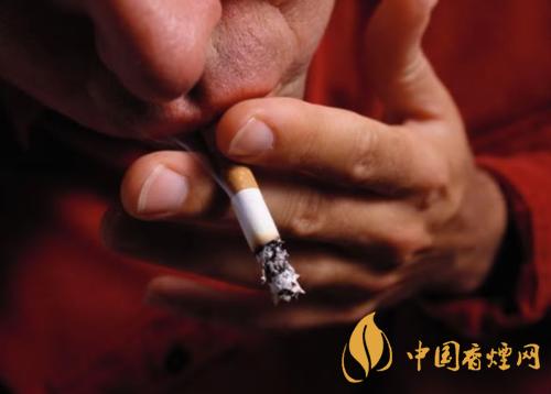 钻石荷花香烟怎么样 荷花烟和中华对比