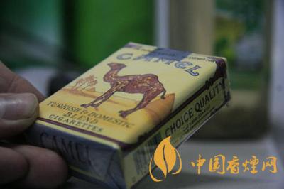 香港骆驼香烟多少钱一包??香港骆驼香烟特点分析
