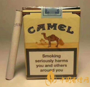 2020骆驼香烟价格一览表 骆驼香烟介绍